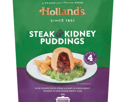 hollands_4_steak_kidney_puddings_50383_T1