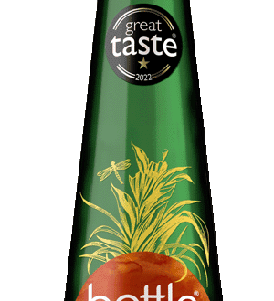 Bottle Green Ginger Cordial | Nice Price Mallorca